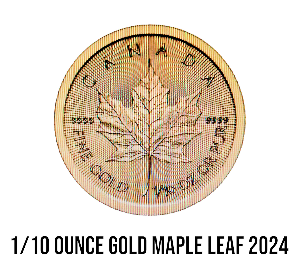 1/10 ounce Gold Maple Leaf 2024